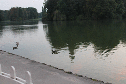 2014-09-10_20-10-59.jpg 4.0M