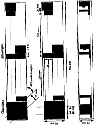 stmp17.gif